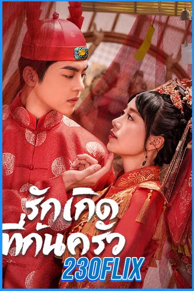 ดูหนังจีน รักเกิดที่ก้นครัว