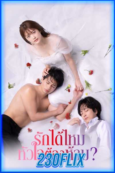 First Love Affair