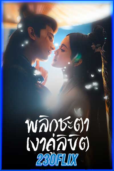 พลิกชะตาเงาคู่ลิขิต