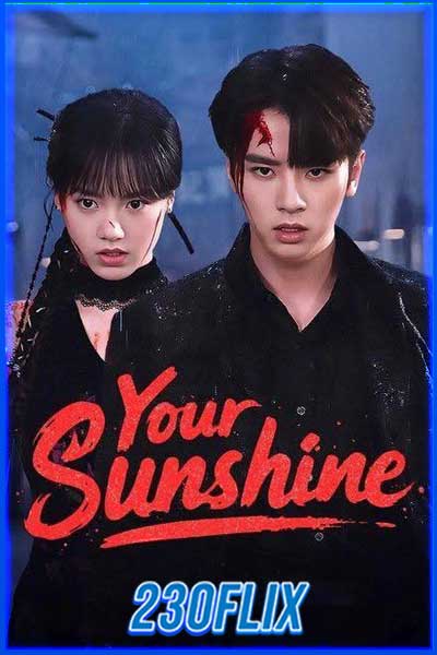 ดูซีรี่ย์จีน Your Sunshine เพลิงรักเพลิงตะวัน (2025)