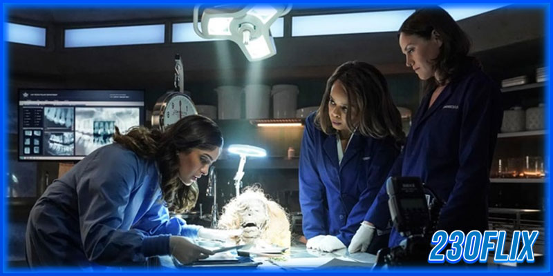 CSI: Vegas Season 1