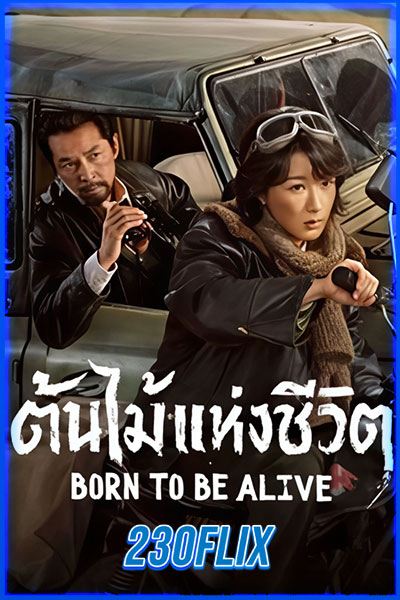 ต้นไม้แห่งชีวิต