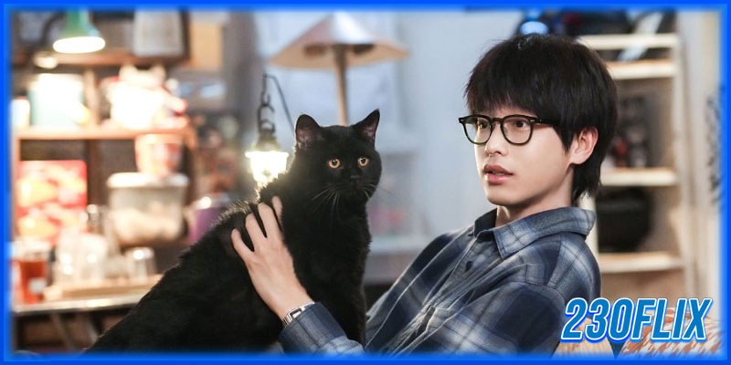 ชะตาพลิกลิขิตฝัน