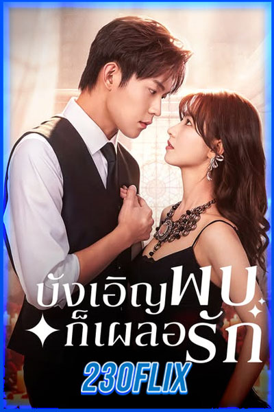 บังเอิญพบก็เผลอรัก