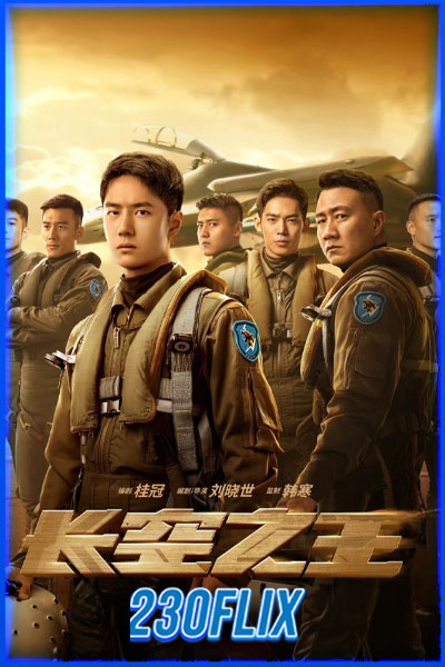 ปฏิบัติการจ้าวเวหา