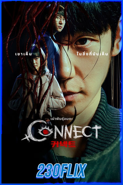 Connect