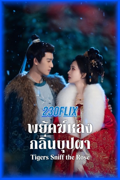 ดูซีรี่ย์ Tigers Sniff The Rose พยัคฆ์หลงกลิ่นบุปผา (2026) พากย์ไทย-ซับไทย EP1-40 จบ